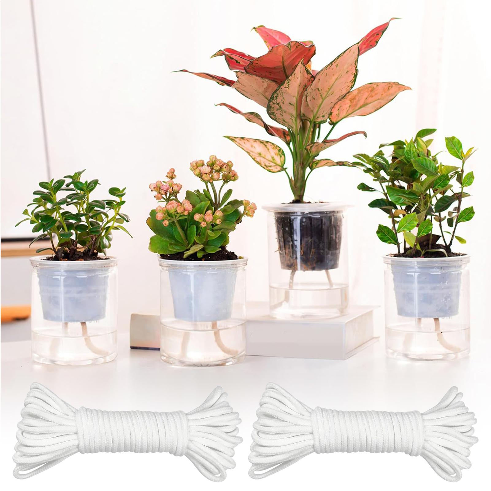 植物用芯材 自動給水用 2ピース自動給水器 ロープ植木鉢用  - Automatic Plant Waterer のレビューと価格