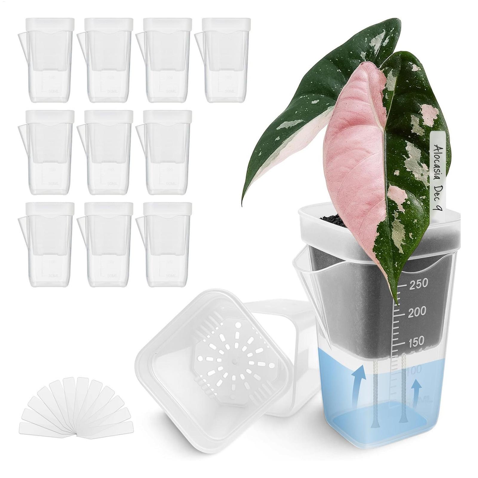 10個入り 室内用植木鉢 透明 自動給水プランター 小型 水 - Self-Watering Planter のレビューと価格