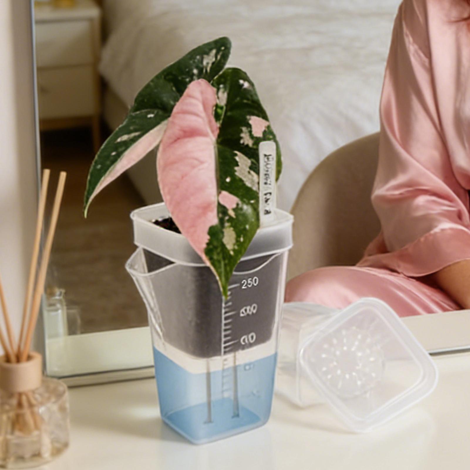 10個入り 室内用植木鉢 透明 自動給水プランター 小型 水 - Self-Watering Planter のレビューと価格