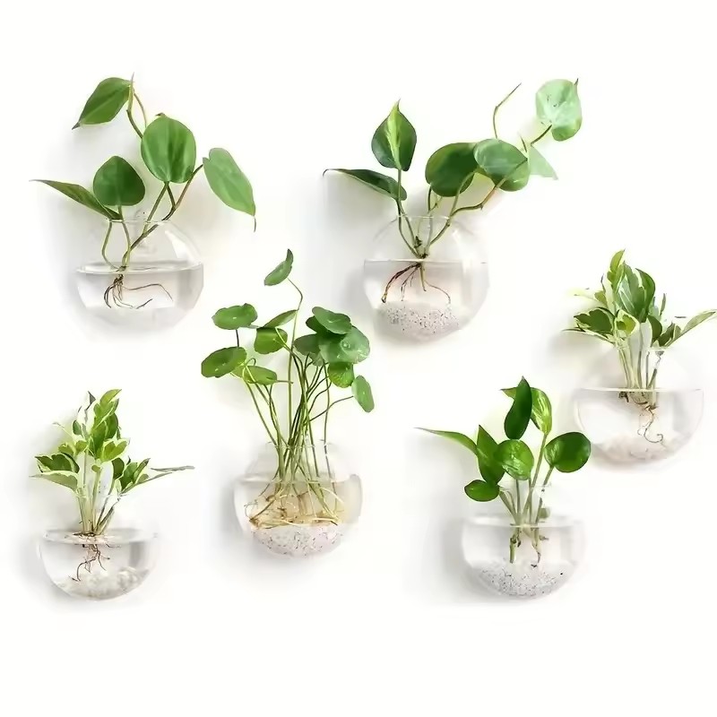 2/4/6個パック壁掛けガラス製テラリウム - 自動給水式水 - Self-Watering Planter のレビューと価格