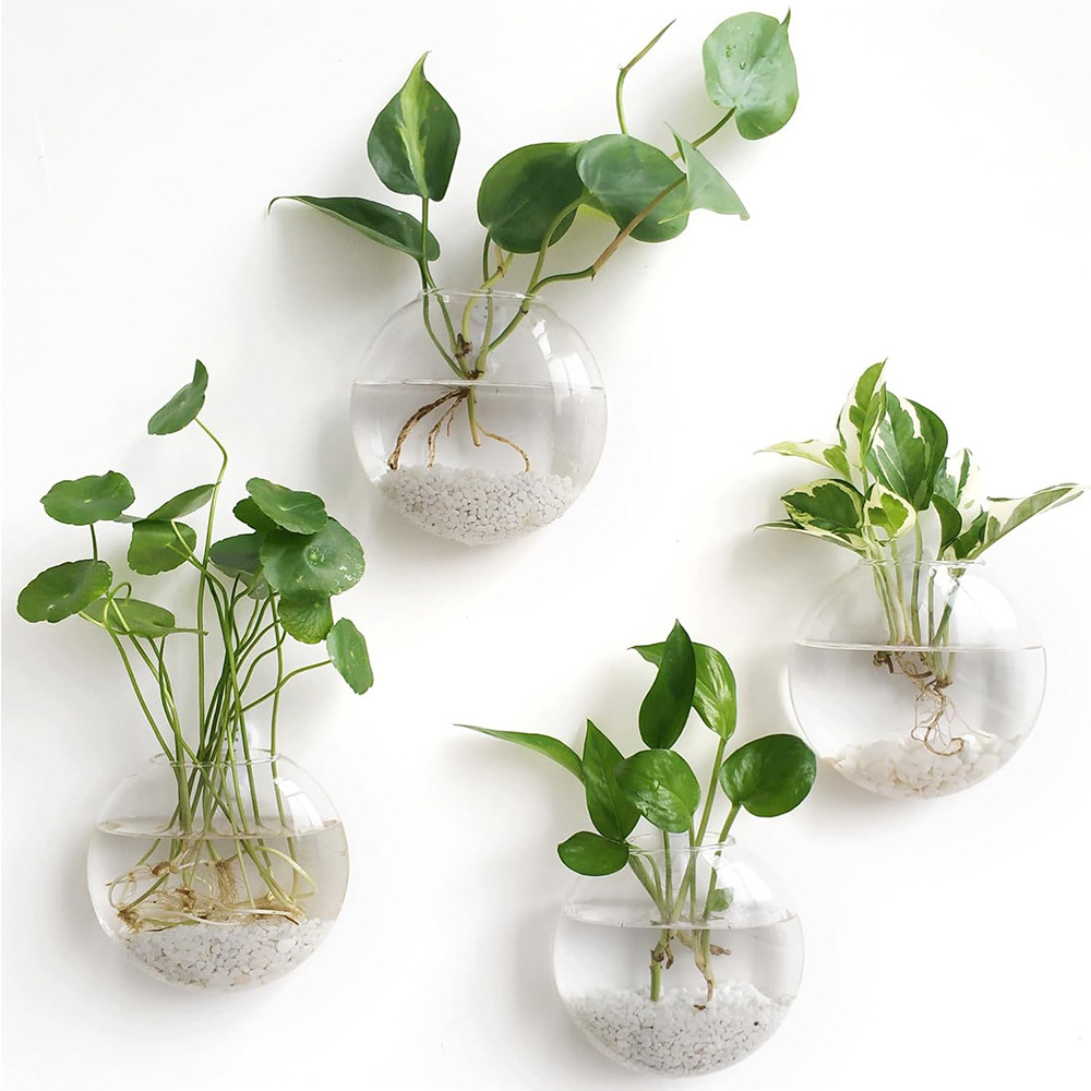 2/4/6個パック壁掛けガラス製テラリウム - 自動給水式水 - Self-Watering Planter のレビューと価格