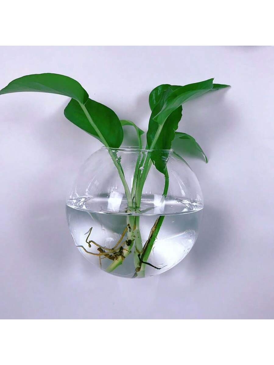 2/4/6個パック壁掛けガラス製テラリウム - 自動給水式水 - Self-Watering Planter のレビューと価格
