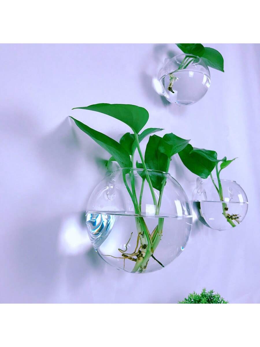 2/4/6個パック壁掛けガラス製テラリウム - 自動給水式水 - Self-Watering Planter のレビューと価格