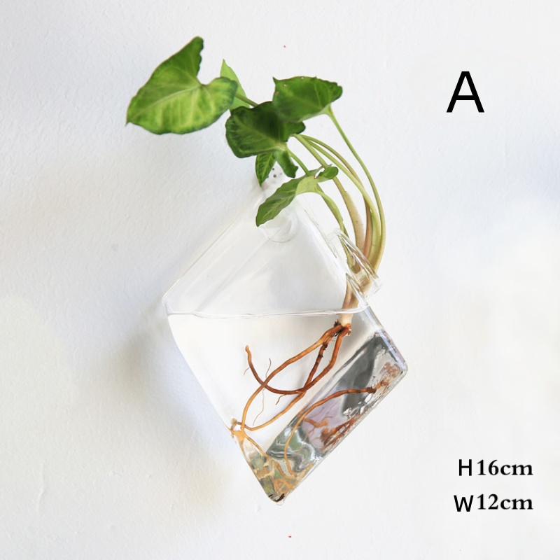 壁掛けガラステラリウム - 自動給水式水耕栽培プランター（家 - Self-Watering Planter のレビューと価格
