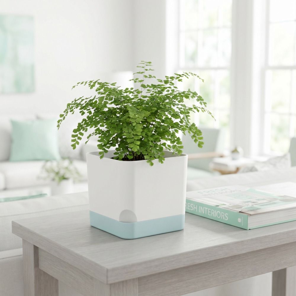 シンプルな正方形の自動給水植木鉢、排水穴付き、2層デザイン、 - Self-Watering Planter のレビューと価格