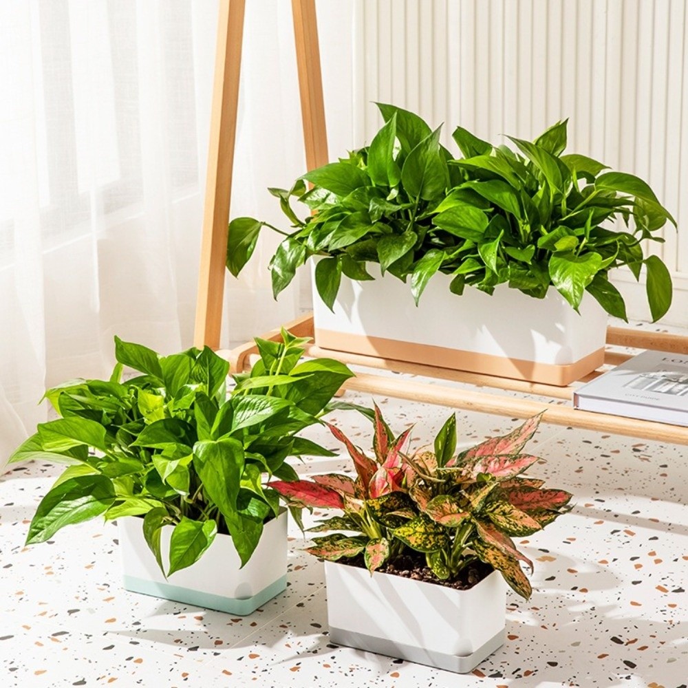 シンプルな正方形の自動給水植木鉢、排水穴付き、2層デザイン、 - Self-Watering Planter のレビューと価格