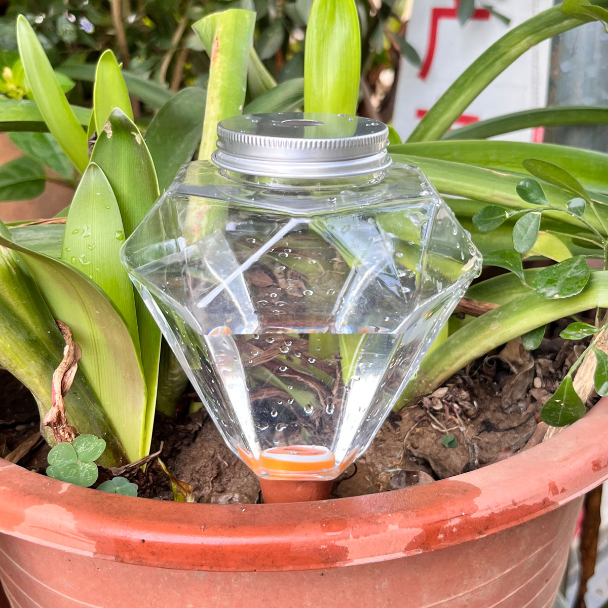 1個入り 可愛いプラスチック製自動給水器 室内/屋外植物用自 - Automatic Plant Waterer のレビューと価格