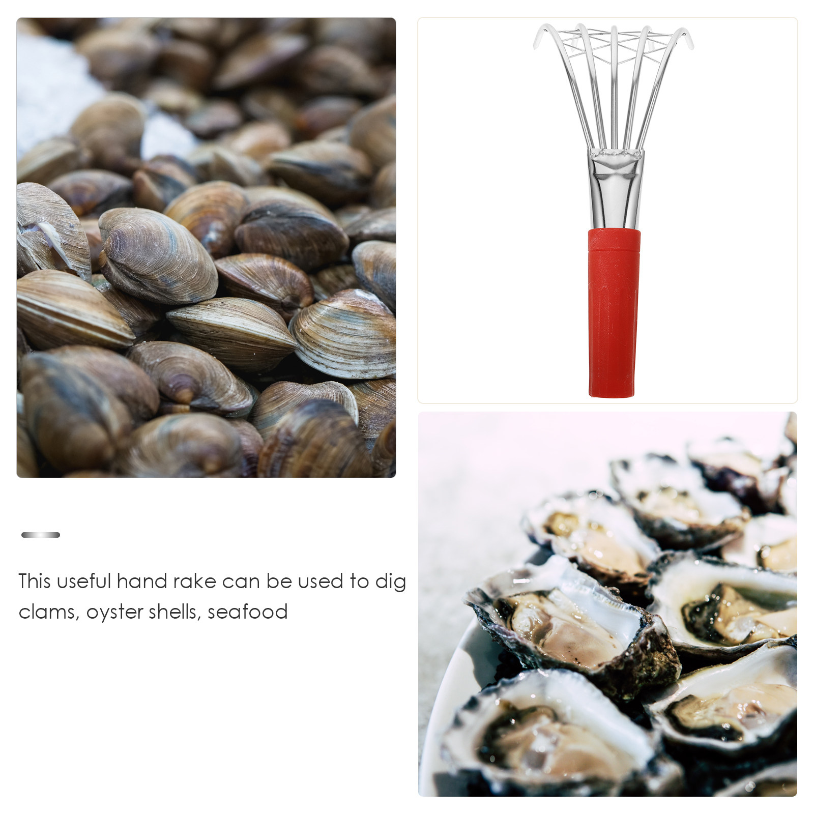 貝殻採取用の爪状レーキ。ビーチで役立つ必需品。ハンドル付き。 - Gardening Tools Essential のレビューと価格